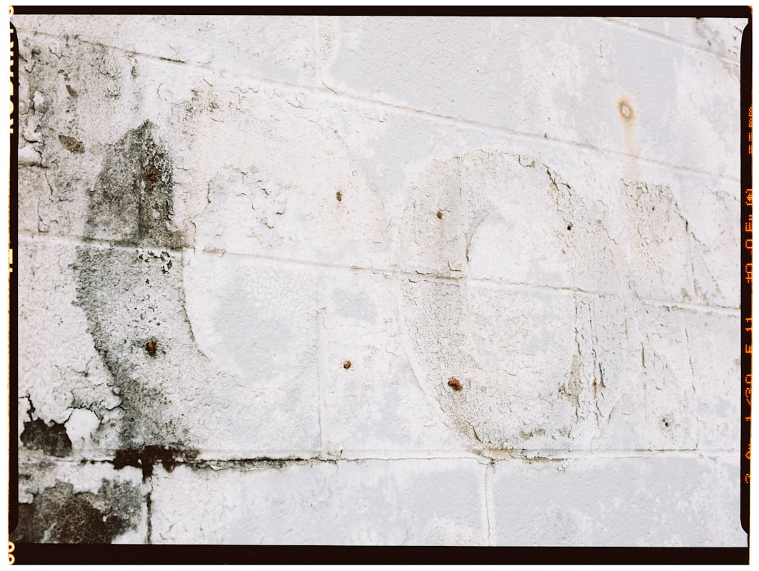 Mold Remediation service in Hollywood, FL