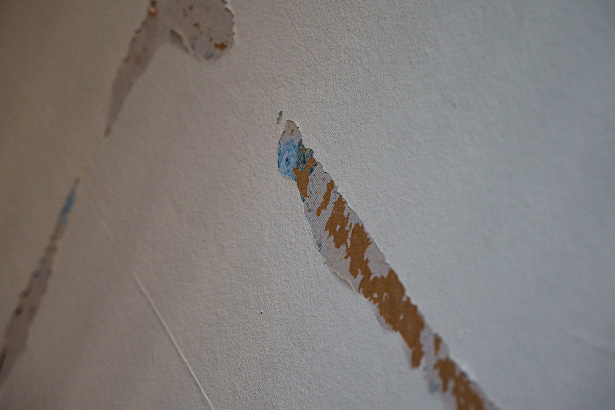 Flood Cleanup service in Hollywood, FL